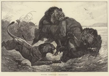 Zuid-Afrikaanse Oorlogvoering